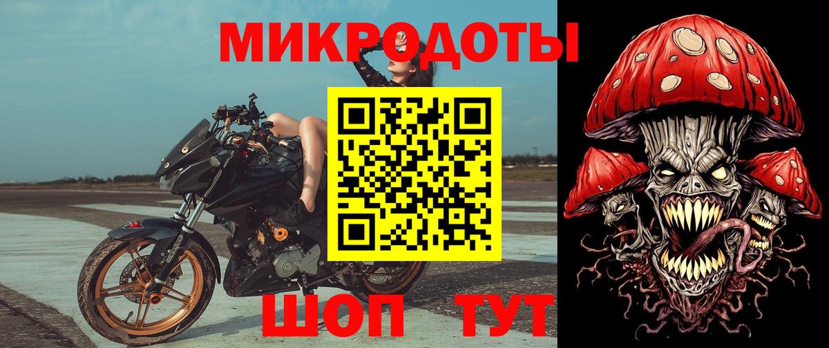 Галлюциногенные грибы Cubensis Нальчик