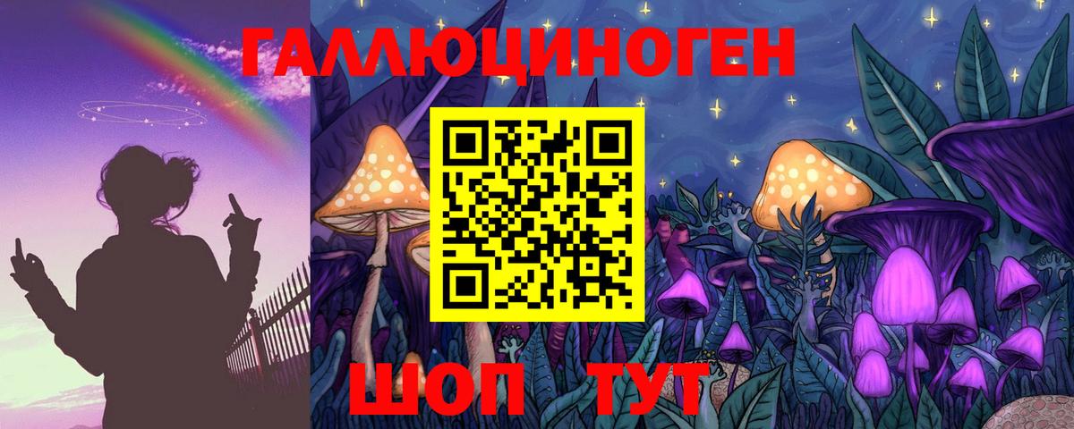 Галлюциногенные грибы Psilocybine cubensis  Вход с VPN  Нальчик 